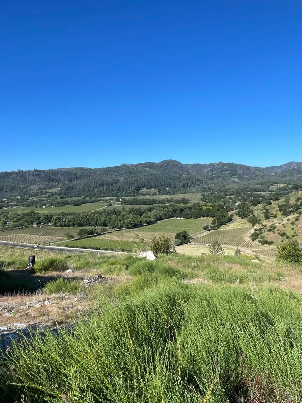 3500 Silverado Trail St. Helena, CA 94574