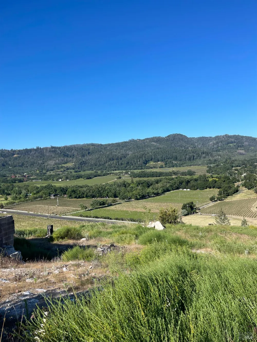 3500 Silverado Trail St. Helena, CA 94574