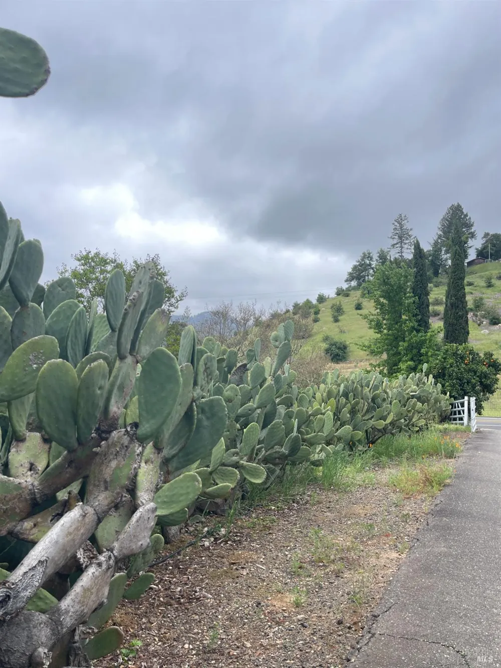 3500 Silverado Trail St. Helena, CA 94574