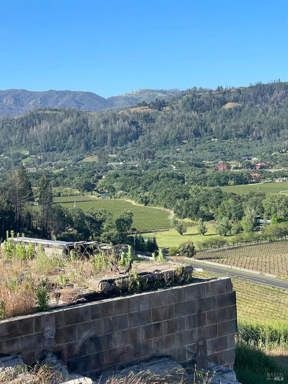 3500 Silverado Trail St. Helena, CA 94574