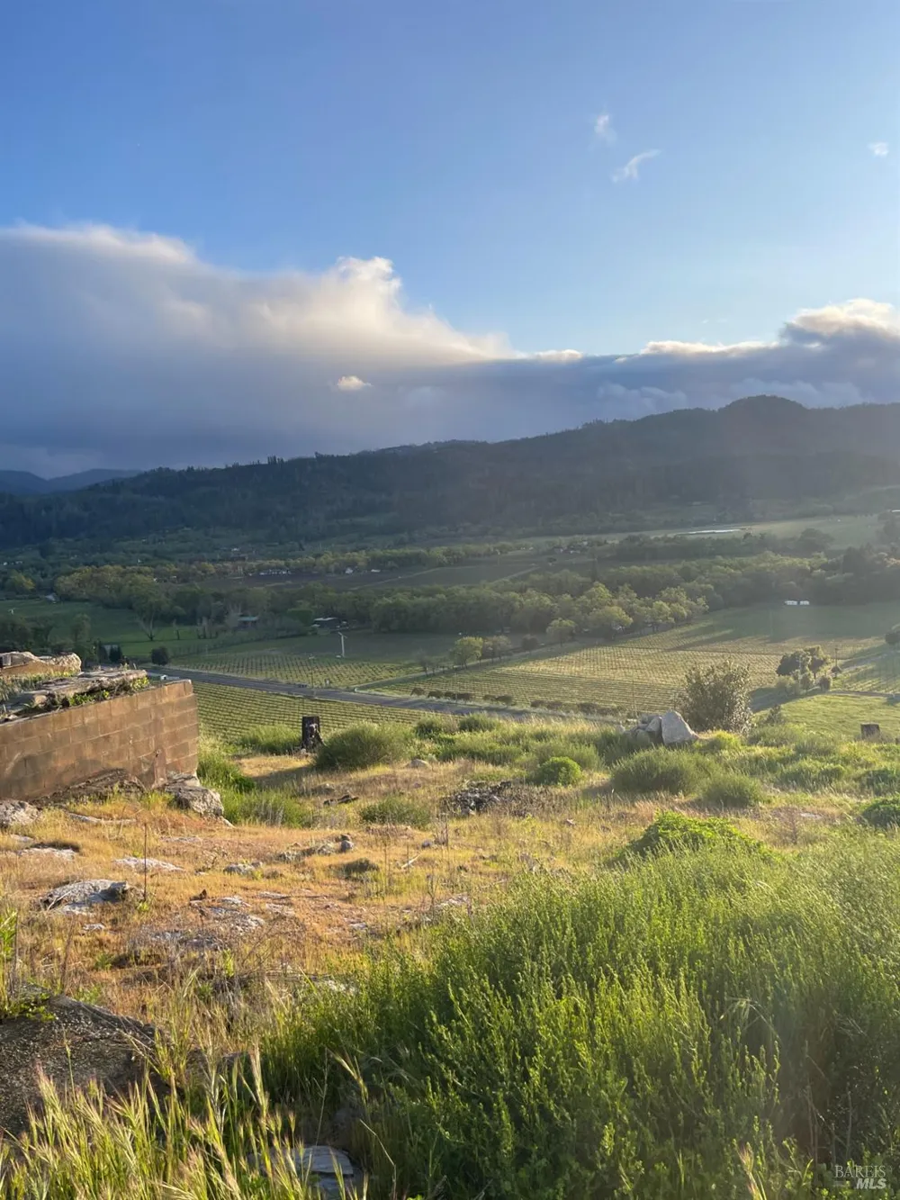 3500 Silverado Trail St. Helena, CA 94574