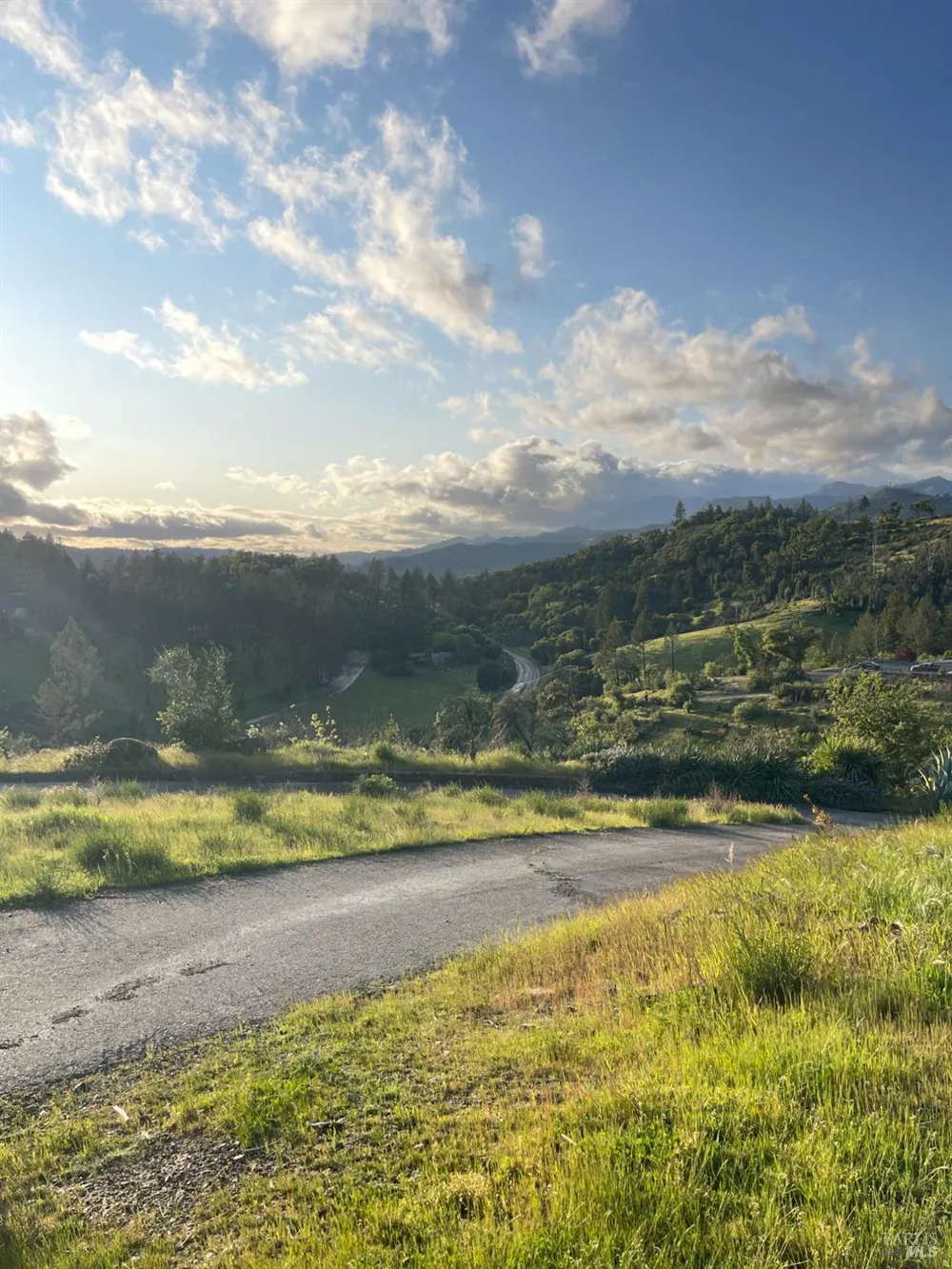 3500 Silverado Trail St. Helena, CA 94574