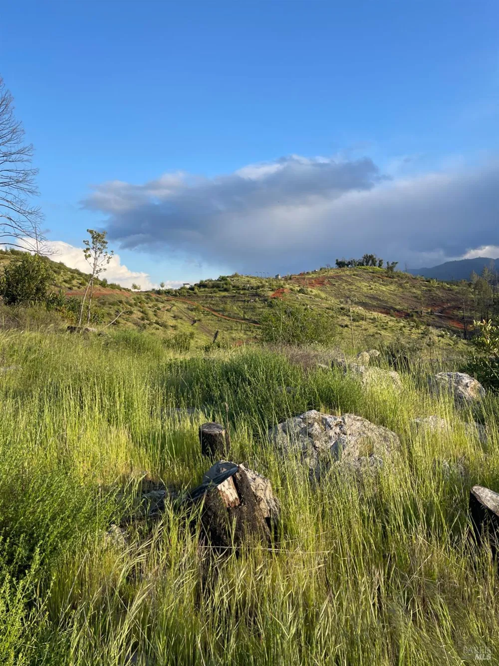 3500 Silverado Trail St. Helena, CA 94574