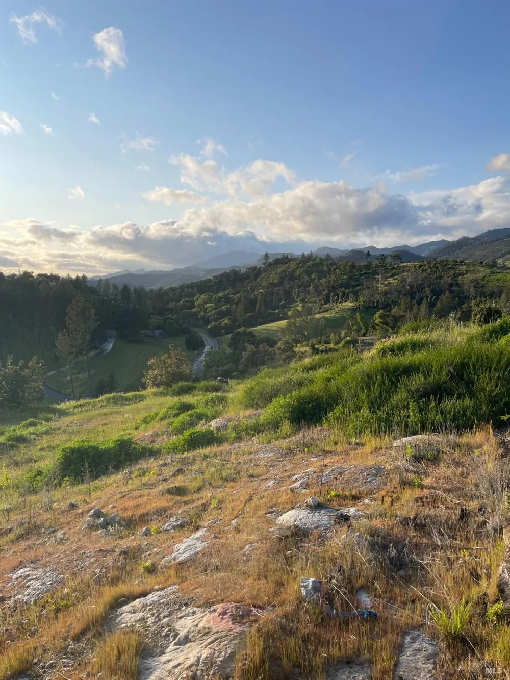 3500 Silverado Trail St. Helena, CA 94574