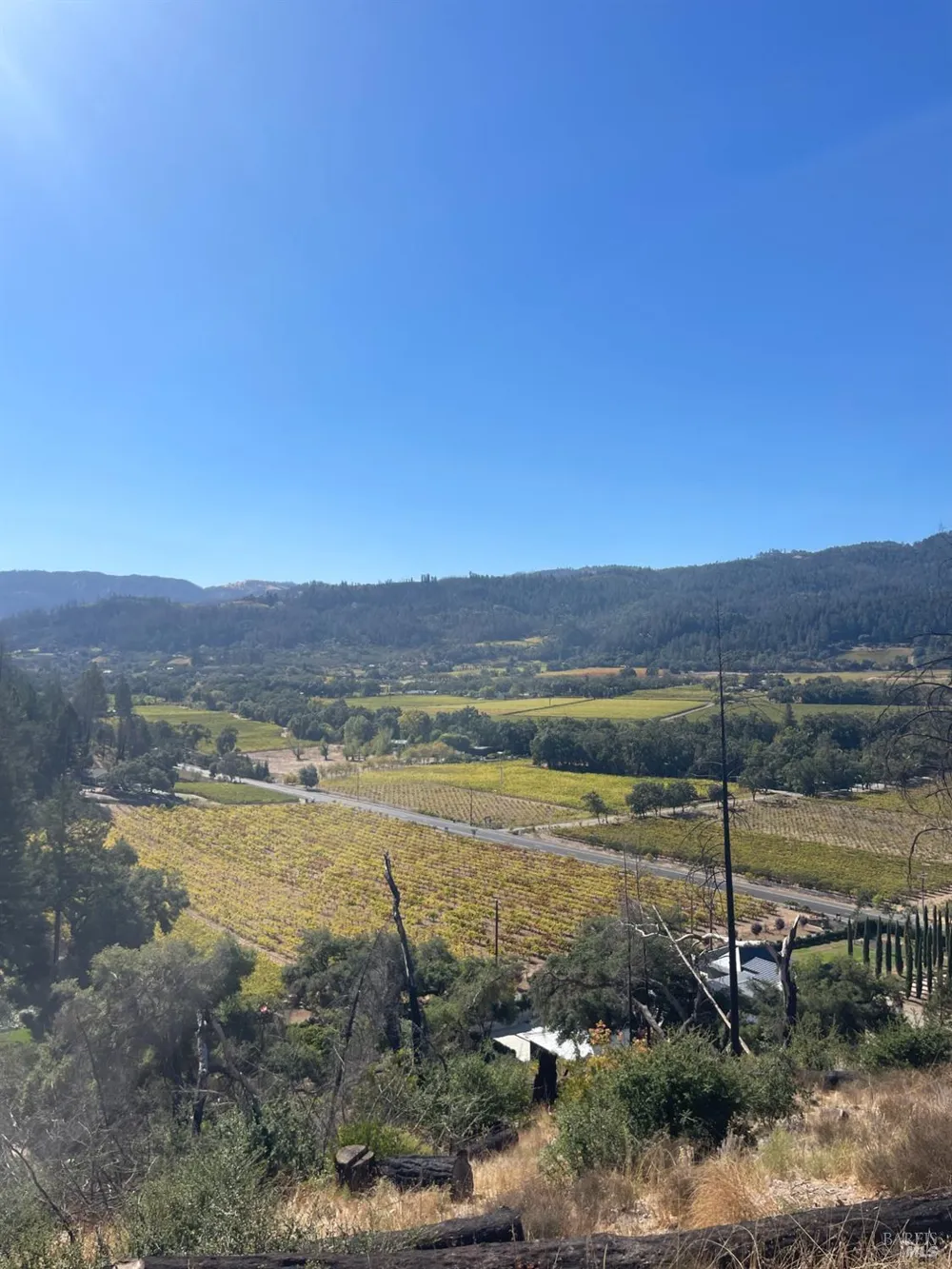3500 Silverado Trail St. Helena, CA 94574