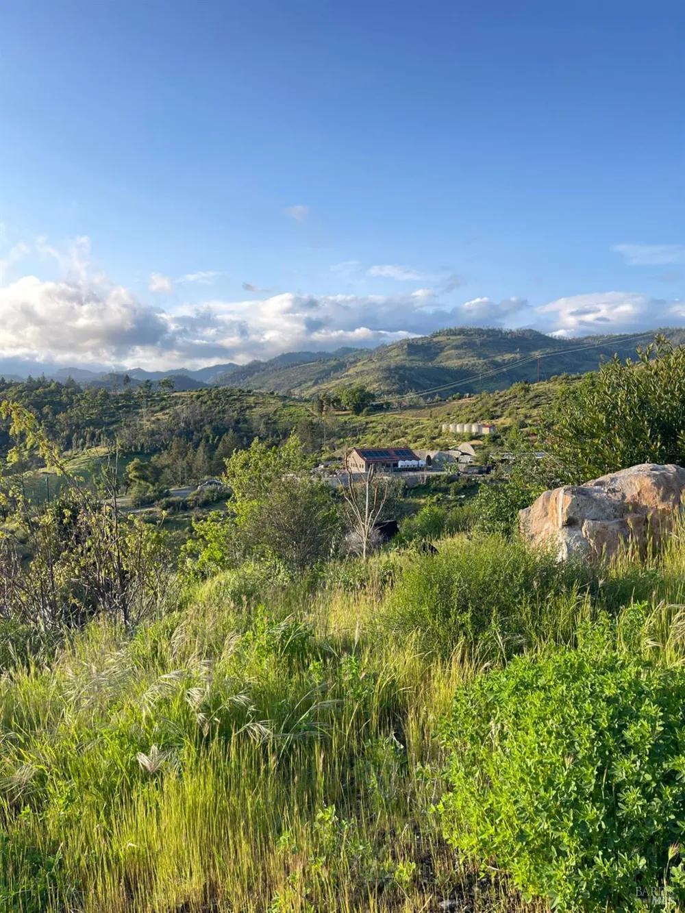 3500 Silverado Trail St. Helena, CA 94574