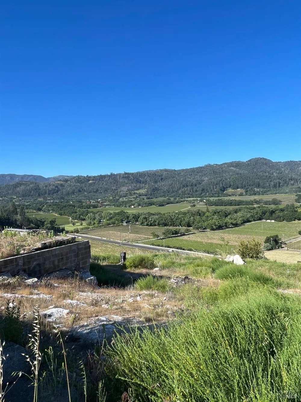 3500 Silverado Trail St. Helena, CA 94574