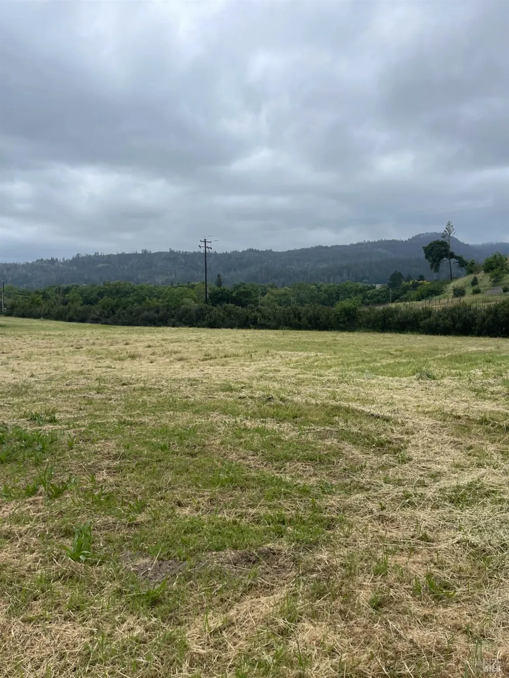 3500 Silverado Trail St. Helena, CA 94574