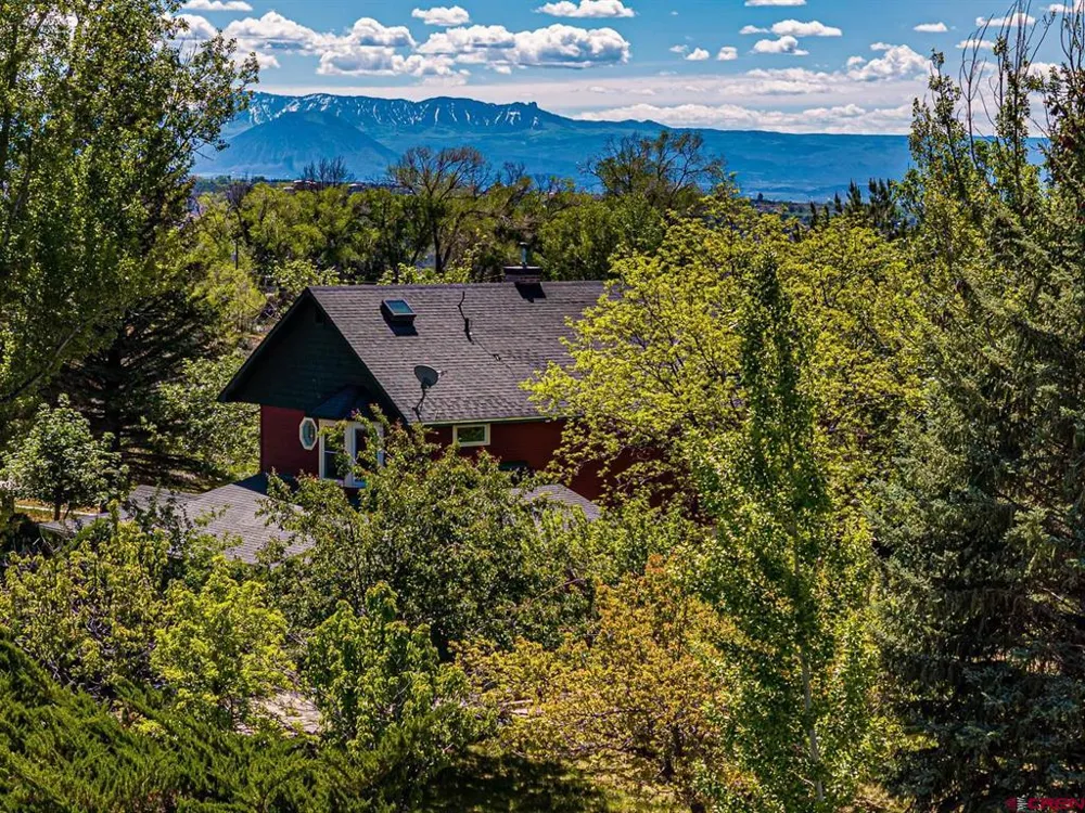 16331 2550 ROAD Cedaredge, CO 81413