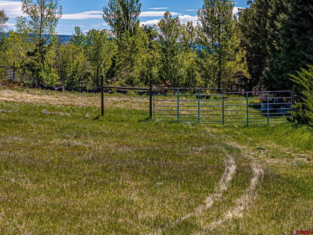 16331 2550 ROAD Cedaredge, CO 81413