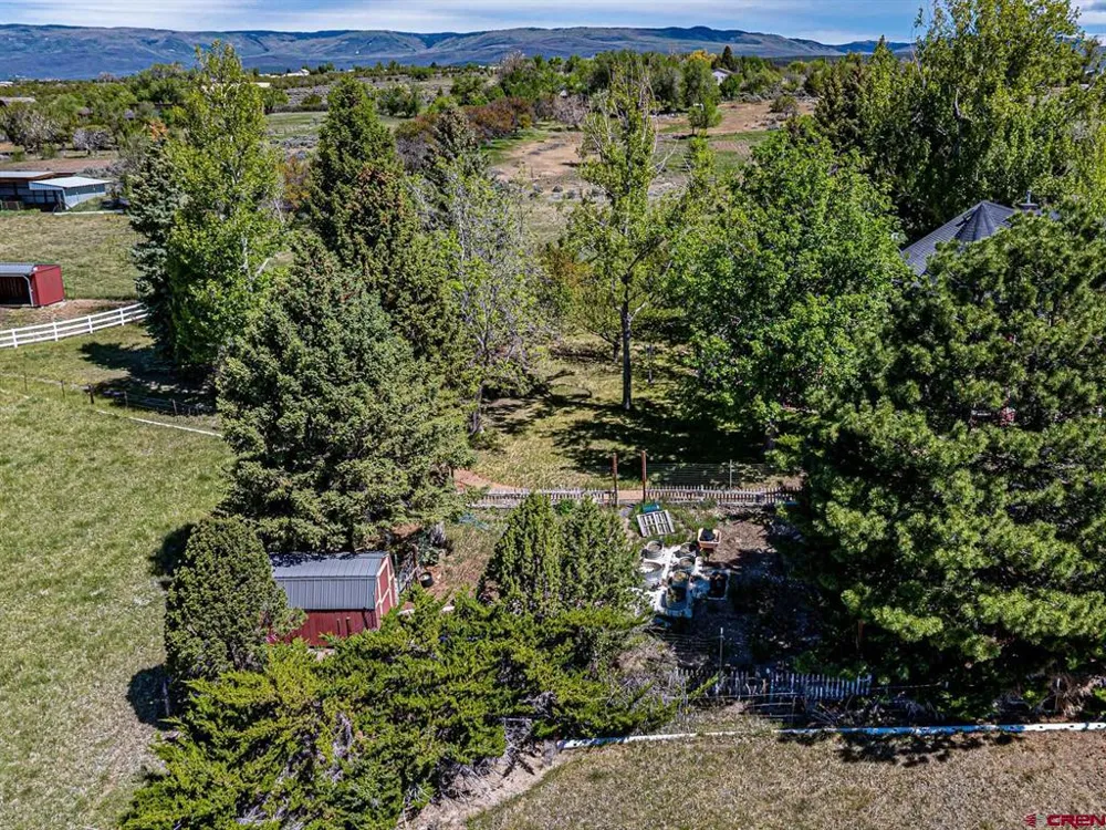 16331 2550 ROAD Cedaredge, CO 81413