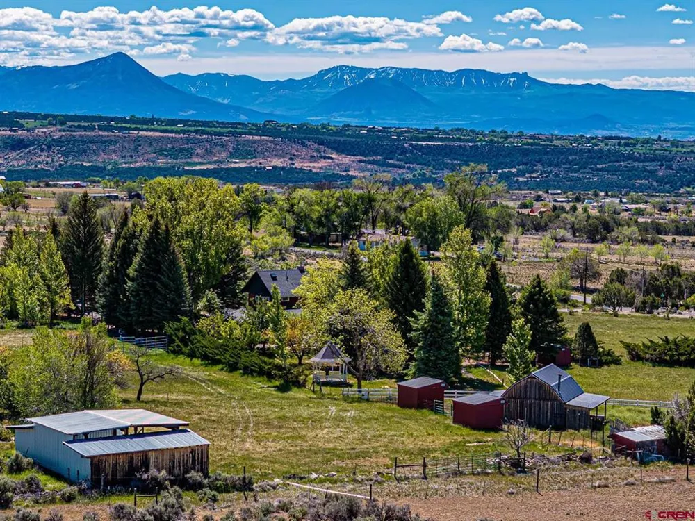 16331 2550 ROAD Cedaredge, CO 81413