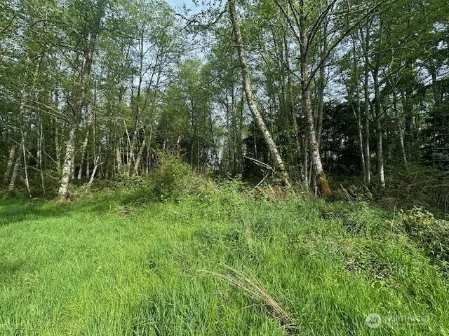 12 Ander Park Road Freeland, WA 98249