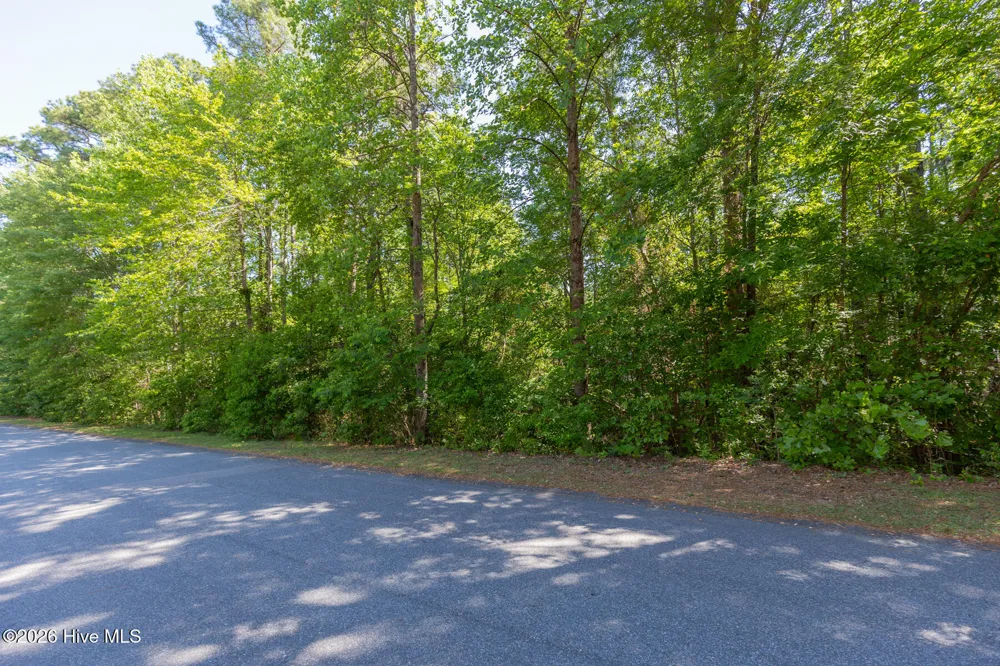 305 Kingswood Circle Pinehurst, NC 28374
