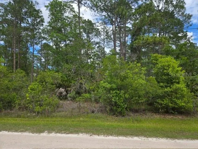 1747 CANDLEBERRY STREET Bunnell, FL 32110