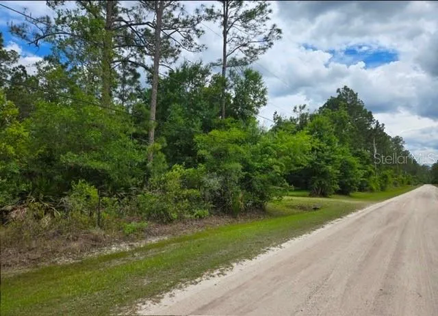 1747 CANDLEBERRY STREET Bunnell, FL 32110