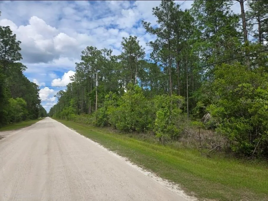 1747 CANDLEBERRY STREET Bunnell, FL 32110