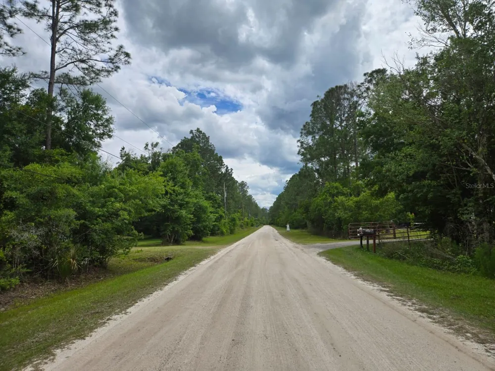 1747 CANDLEBERRY STREET Bunnell, FL 32110