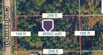 1747 CANDLEBERRY STREET Bunnell, FL 32110