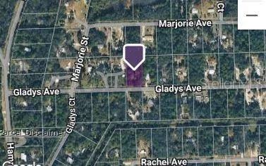 177 GLADYS AVENUE Inglis, FL 34449