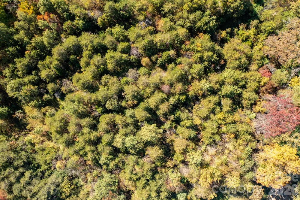 0 Rest Home Road Claremont, NC 28610
