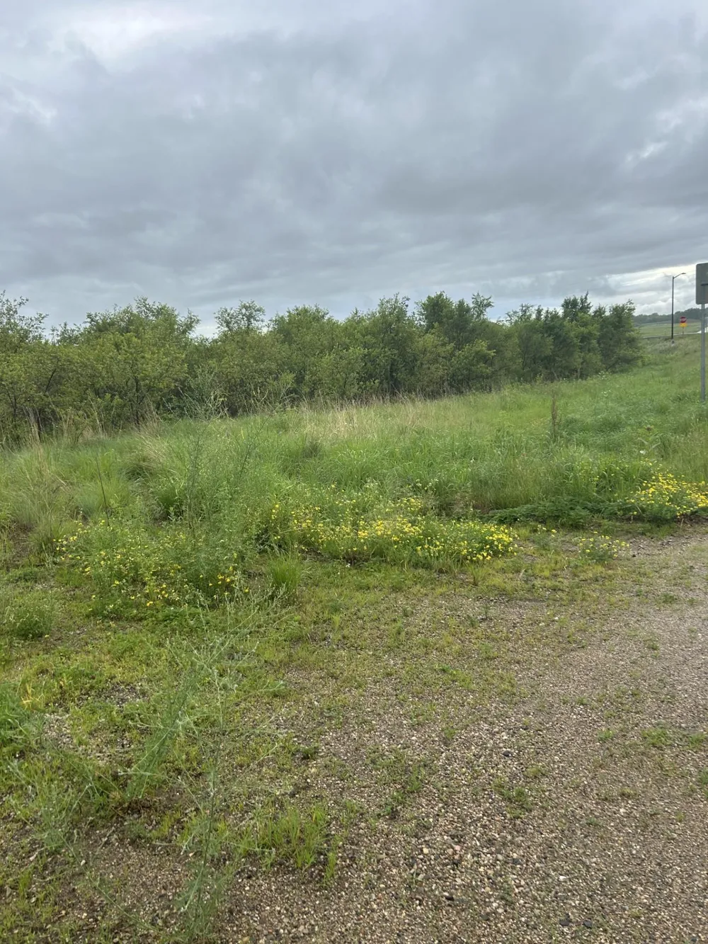 XXXX 280th Street Northfield, MN 55057