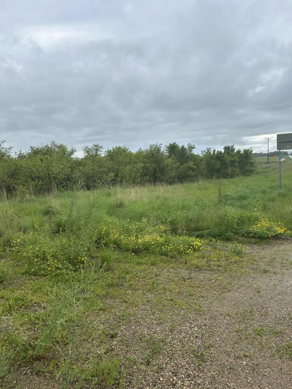 XXXX 280th Street Northfield, MN 55057