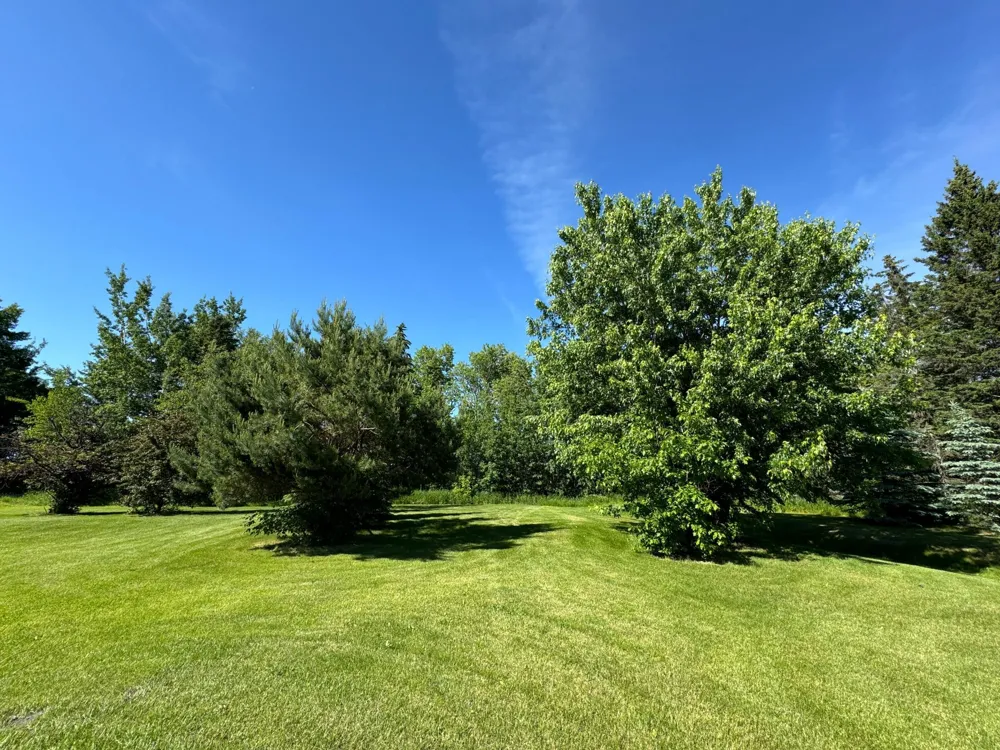 58296 County Road 12 Warroad, MN 56763