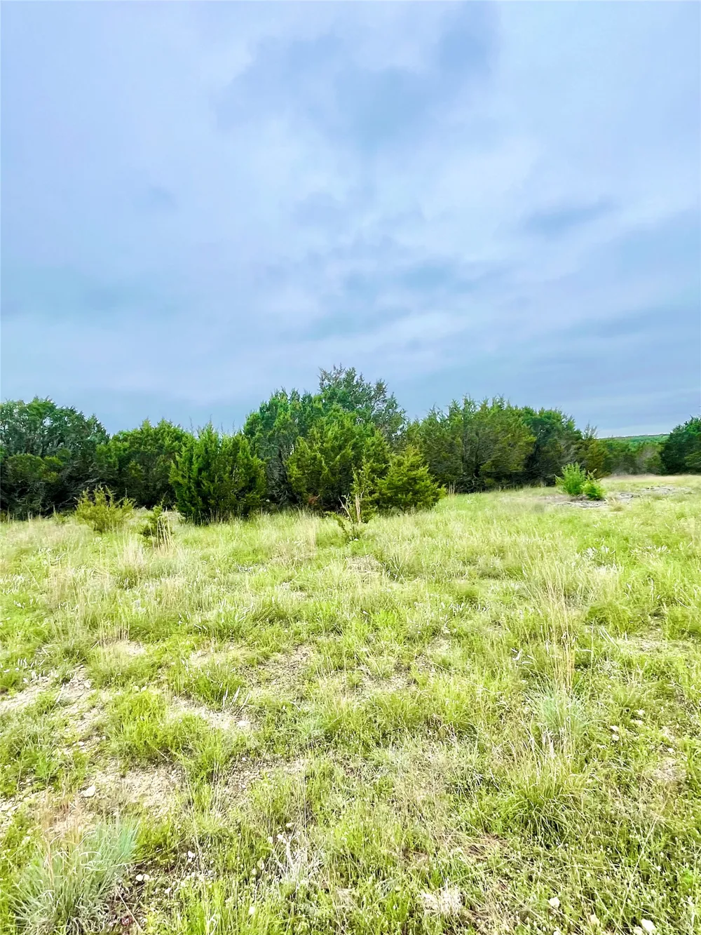 PR 16026 Jonesboro, TX 76538