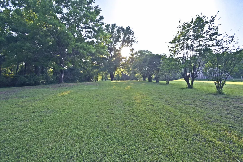 1489 County Road 1858 Yantis, TX 75497