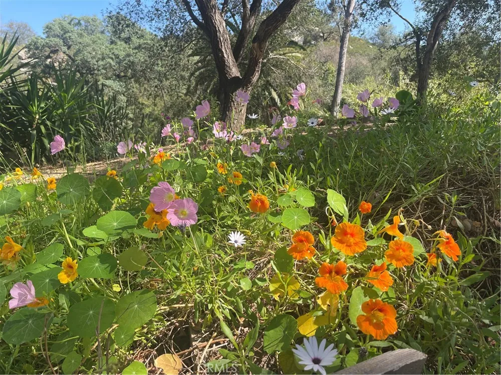 4747 Oak Crest Road #28 Fallbrook, CA 92028