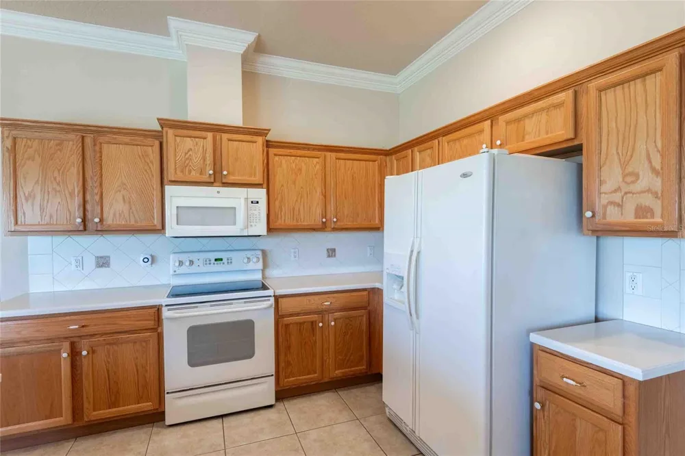 7425 MELOGOLD CIRCLE Land O Lakes, FL 34637