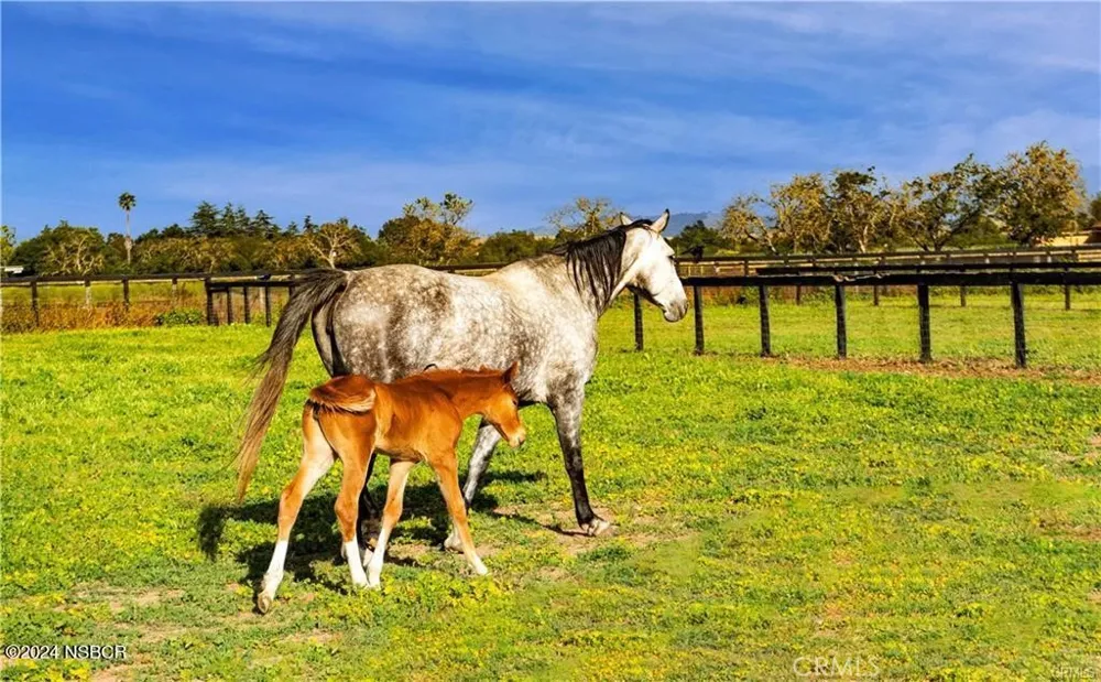 1977 W San Marcos Pass Road Santa Ynez, CA 93460
