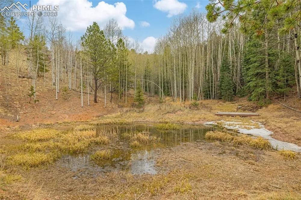 953 Yorktown Road Cripple Creek, CO 80813