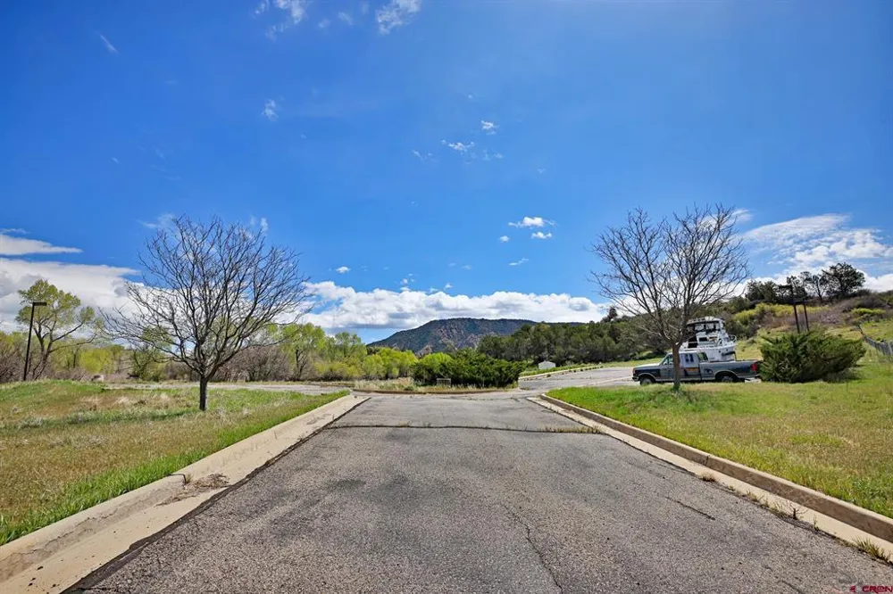 1006 Spring Street Collbran, CO 81624