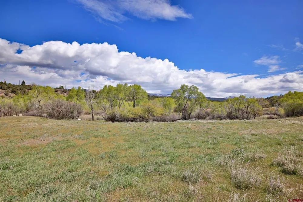 1006 Spring Street Collbran, CO 81624