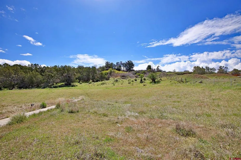 1006 Spring Street Collbran, CO 81624