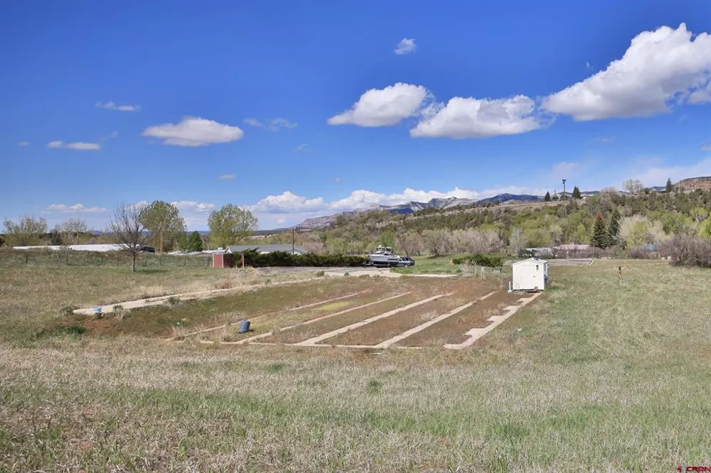 1006 Spring Street Collbran, CO 81624