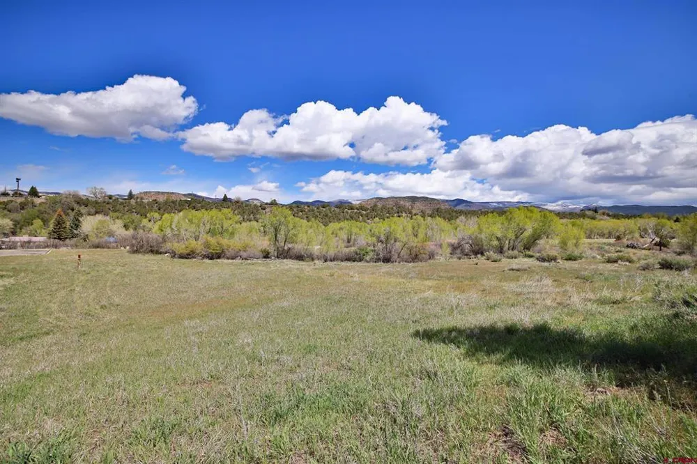1006 Spring Street Collbran, CO 81624