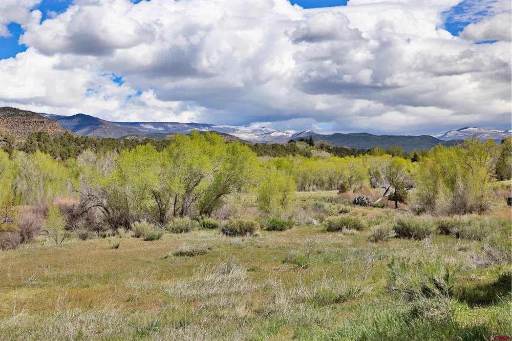 1006 Spring Street Collbran, CO 81624