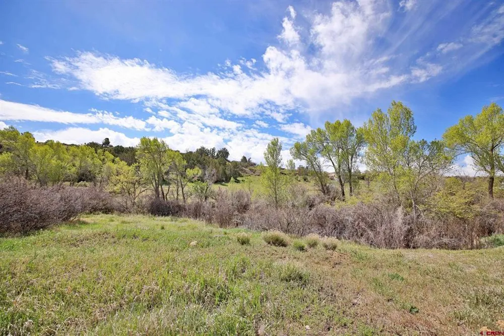 1006 Spring Street Collbran, CO 81624