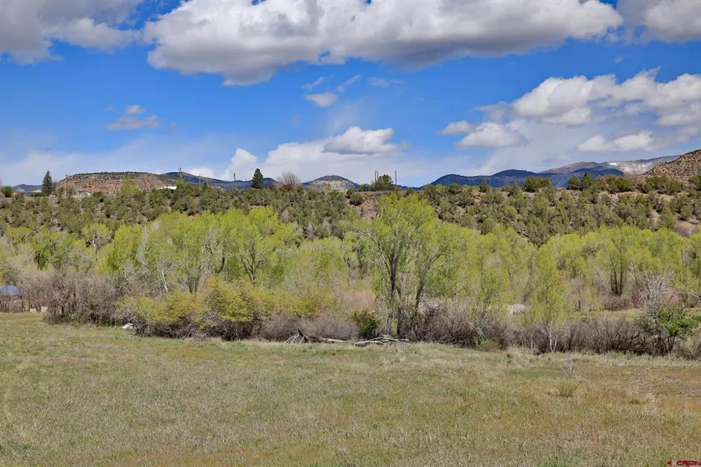 1006 Spring Street Collbran, CO 81624