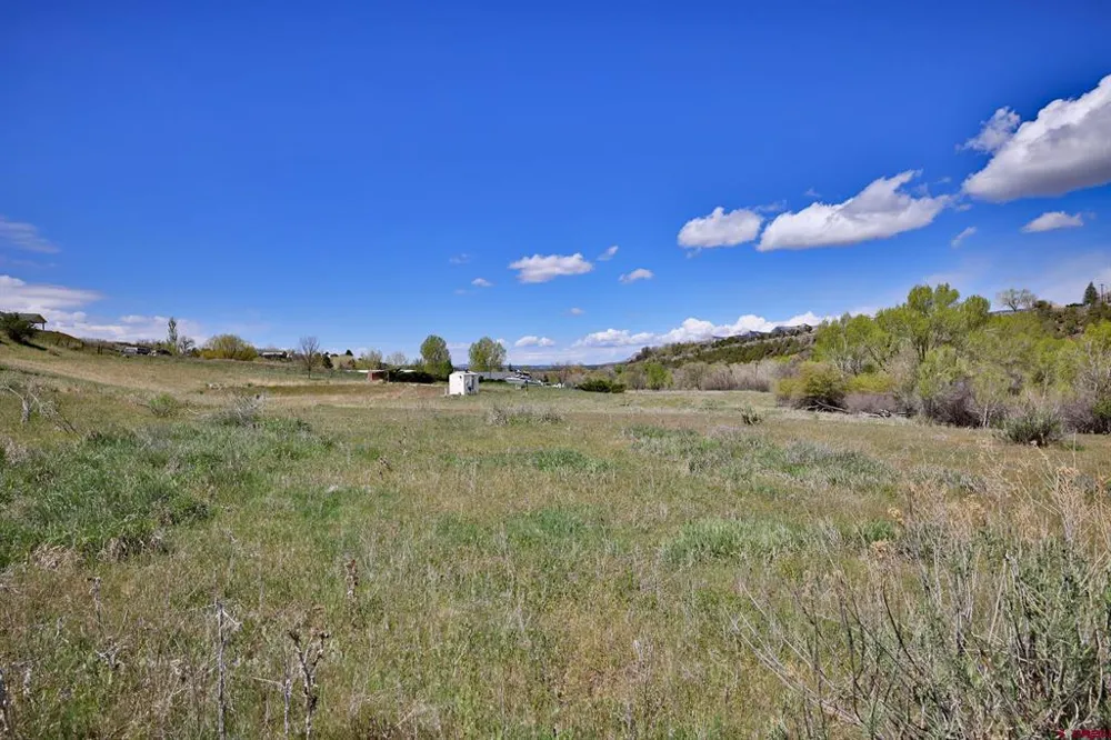 1006 Spring Street Collbran, CO 81624