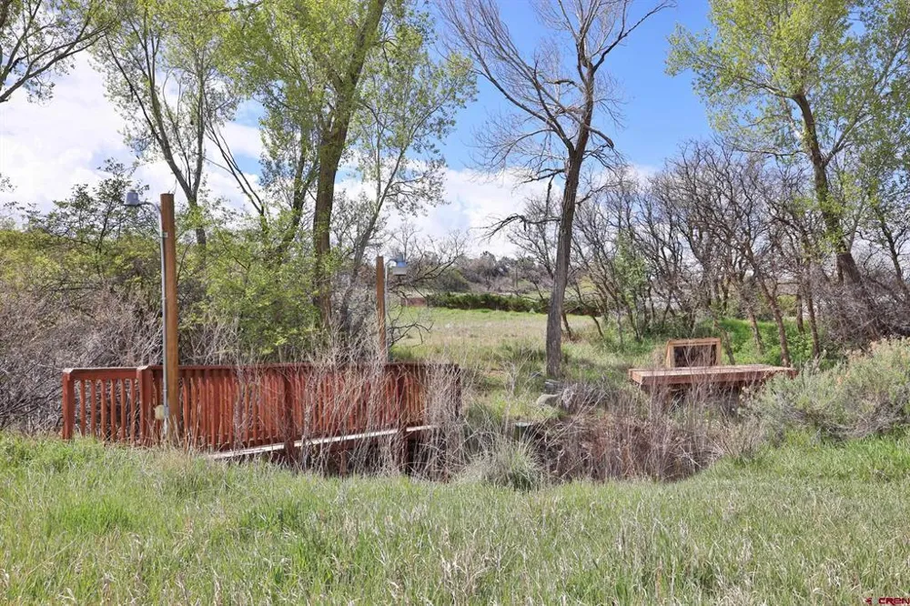1006 Spring Street Collbran, CO 81624