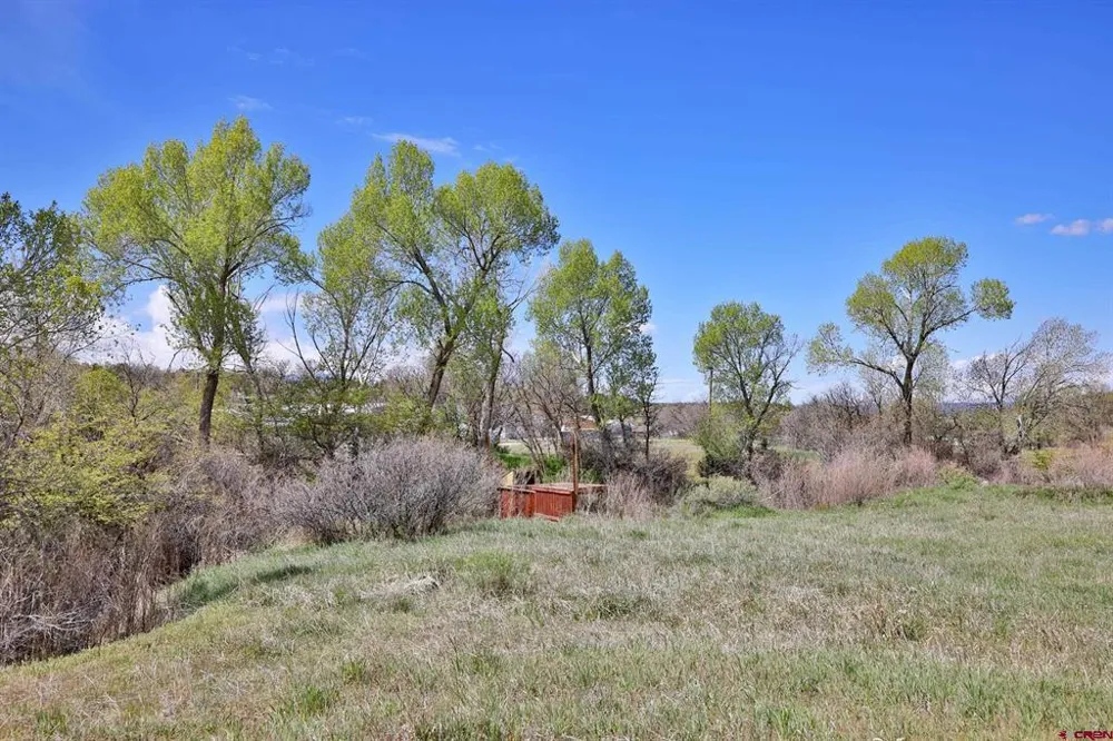 1006 Spring Street Collbran, CO 81624