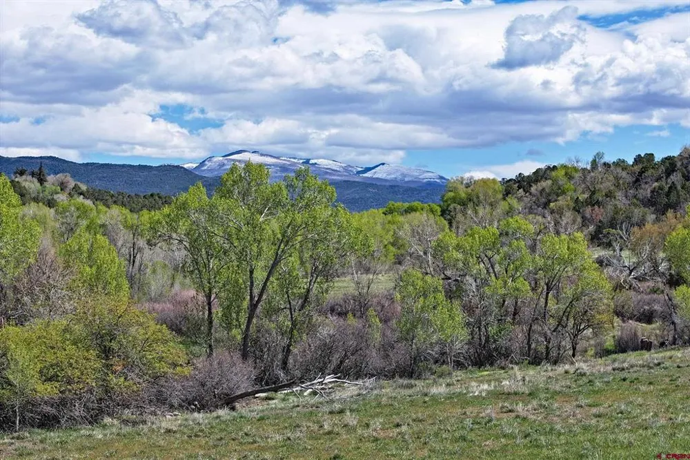 1006 Spring Street Collbran, CO 81624