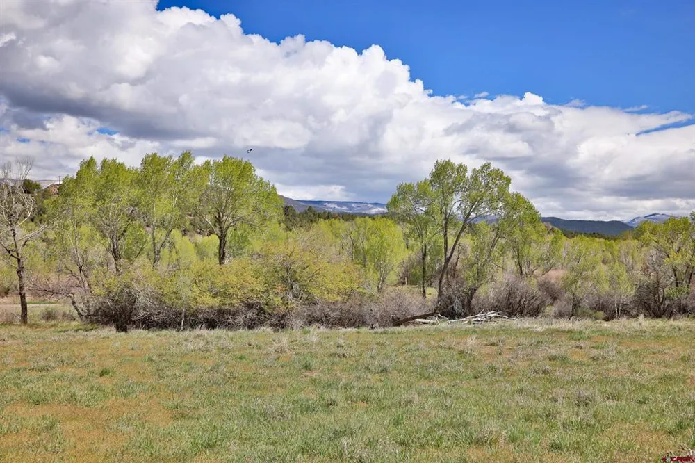 1006 Spring Street Collbran, CO 81624