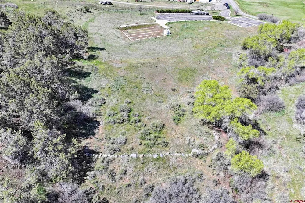1006 Spring Street Collbran, CO 81624