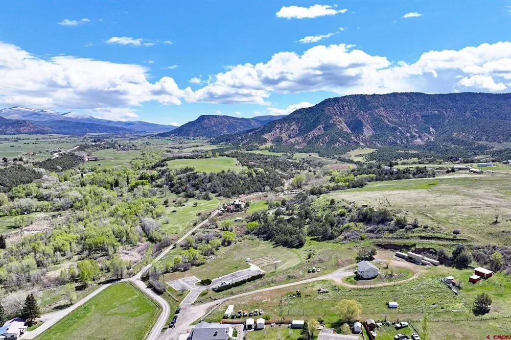 1006 Spring Street Collbran, CO 81624