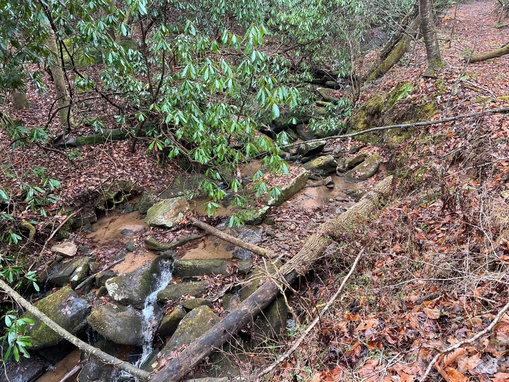 0 Russell Gap Road Taylorsville, NC 28654